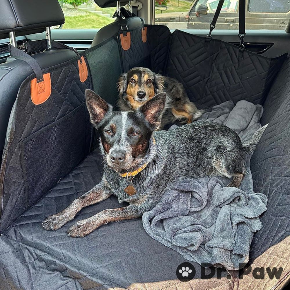 dog seat cover for back seat