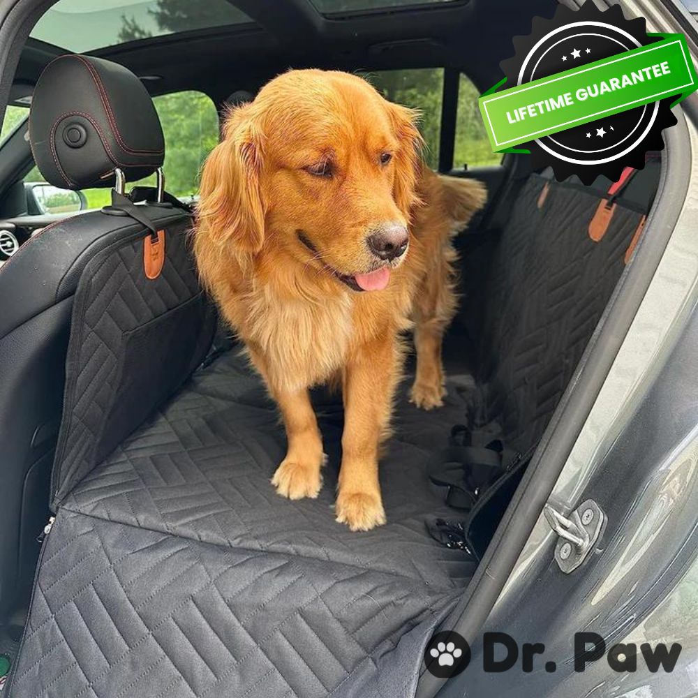 back seat cover for dogs PawProtector