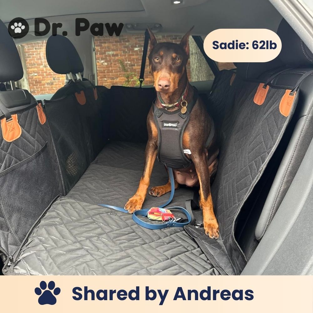 dog cover for back seat - PawProtector
