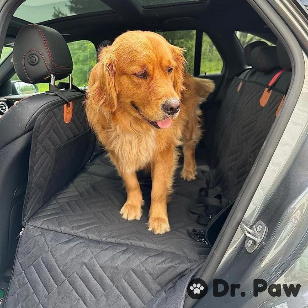 back seat cover for dogs