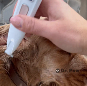 Safe, Hygienic & Vet-Approved